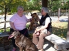 100_6054