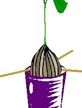 5 Lent, March 25 2012