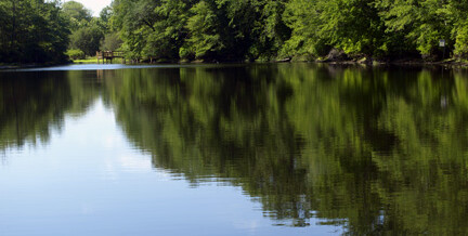 August 2012 Newsletter