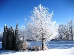 February 2012 Newsletter