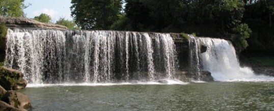 June 2012 Newsletter