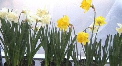 March 2012 Newsletter