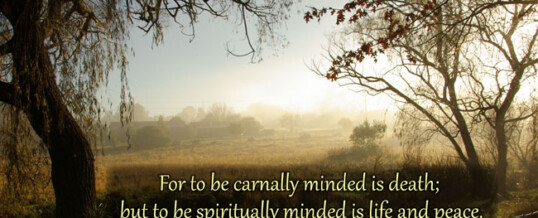 Setting Our Minds on the Spirit