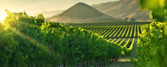 Tales of the Prophets: Naboth’s Vineyard – Living Above the Fray