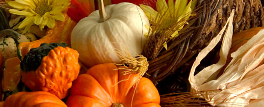 November 2012 Newsletter