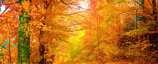 October 2012 Newsletter